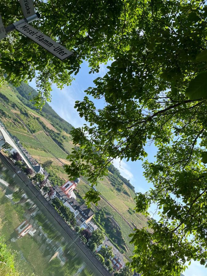 Ferienhaus Ankerpunkt Zell an der Mosel Bagian luar foto